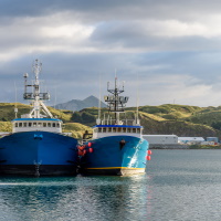 Dutch Harbor