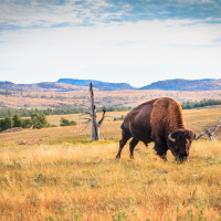 Oklahoma