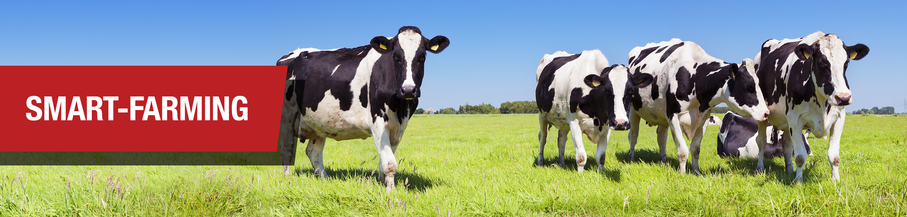 Smart Farming Smart Farming