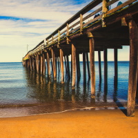 Virginia