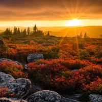 West Virginia