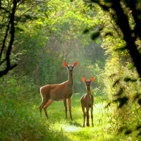 Wisconsin