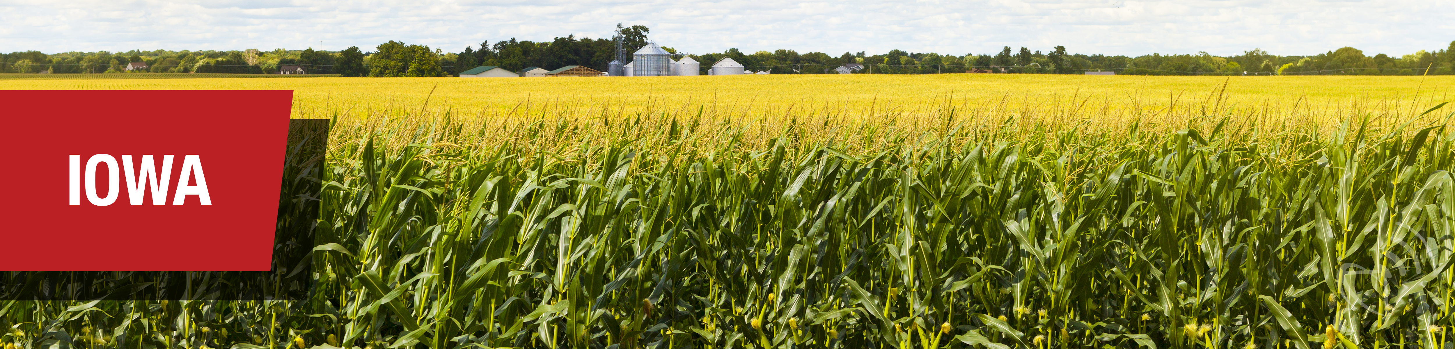 Iowa
