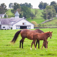 Kentucky