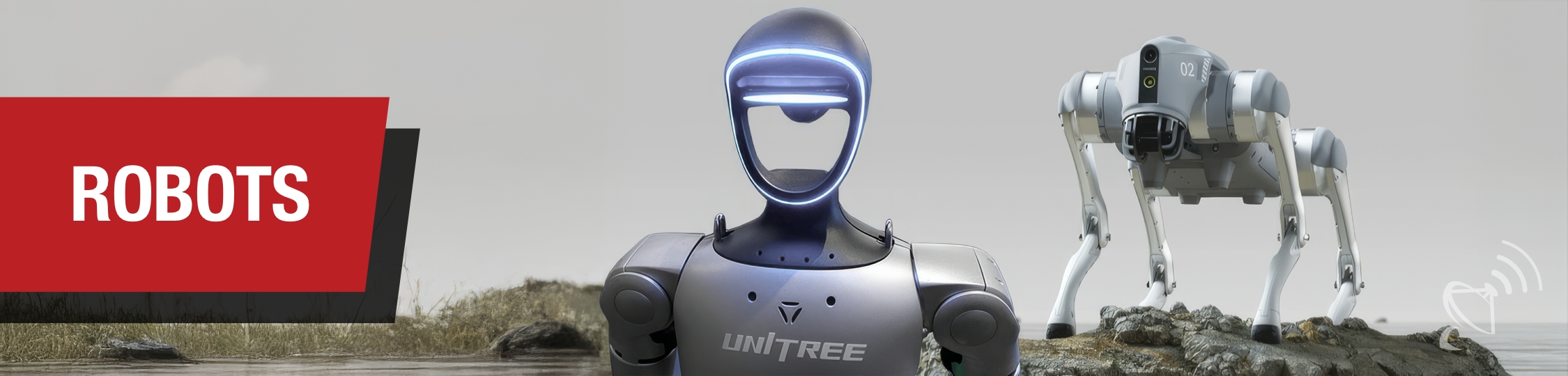 Robots Robots