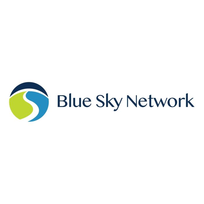 BSN-NAL SL5100-IOT-SCN Skylink 5100 Iot Kit B (SL5100-IOT-SCN)