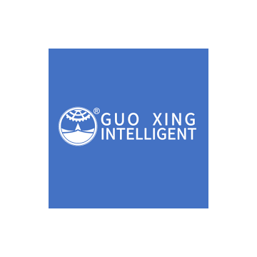 Guo Xing DC Motors (DM)