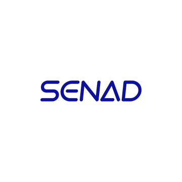 Senad Customized Robot Stack Bag Box Load Unload Palletizer (Customized Robot Stack Bag Box Load Unload Palletizer)